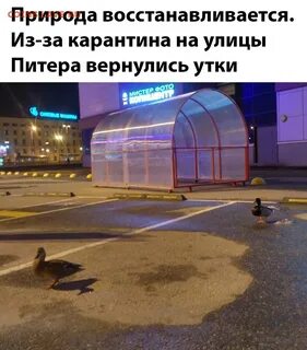 Видимо пр