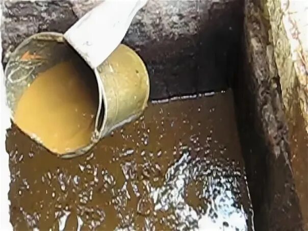 Дрожжи в туалет