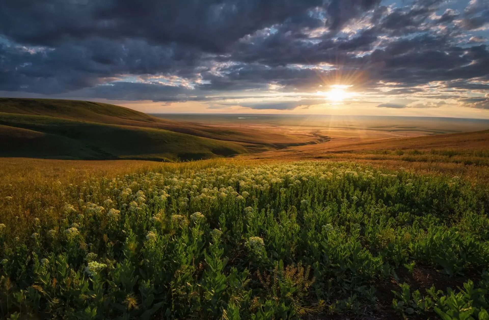 Калмыкия степь ковыль. Половецкая степь (ландшафтный парк). Провальская степь (ростовская область). Муганская степь. Степь дергачи.