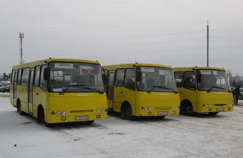 Оса автобусы