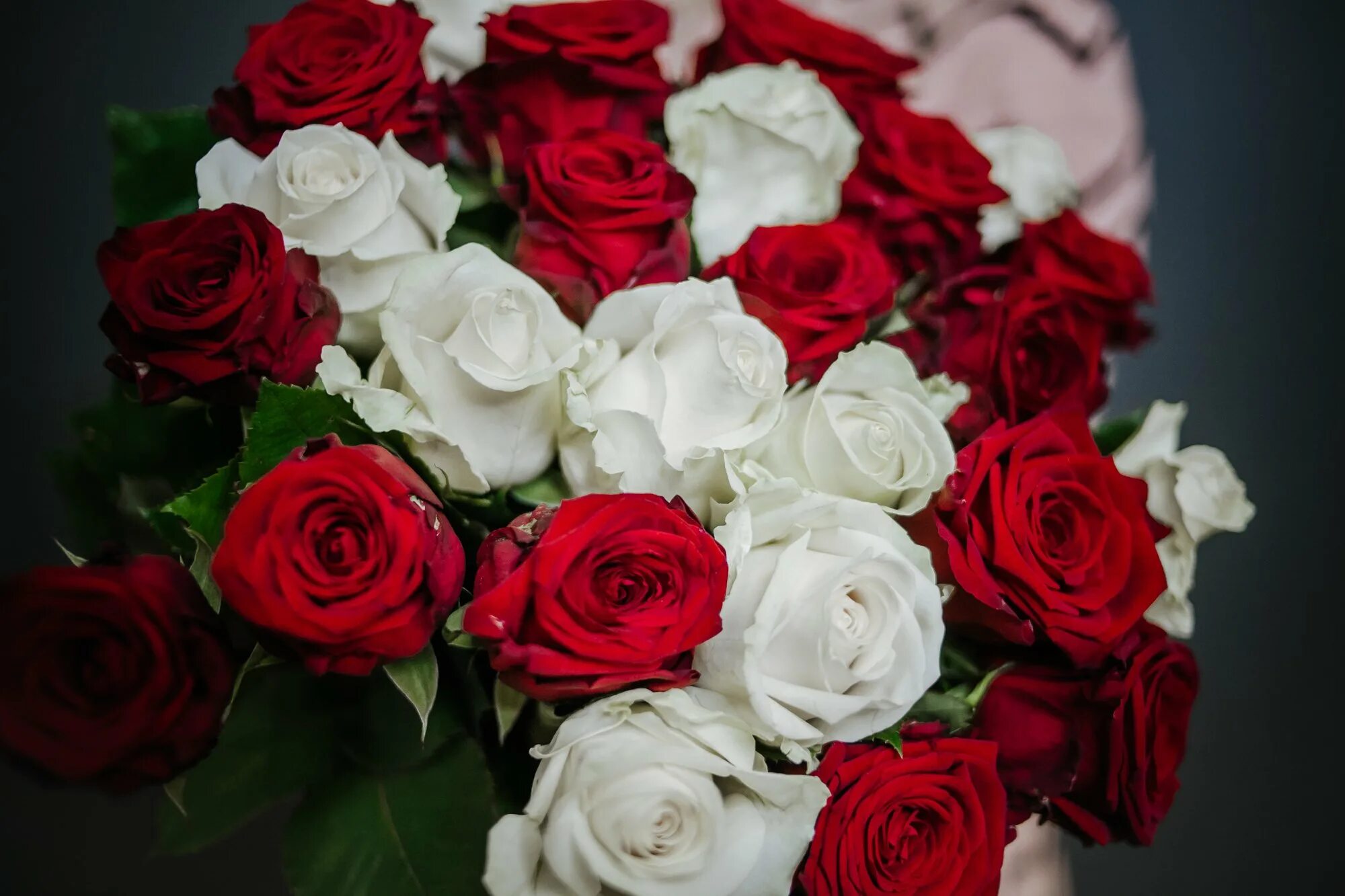 Букет красных роз. Букет из белых и красных роз. Розы красные и белые. Букет из красных роз. Розы бело красные название