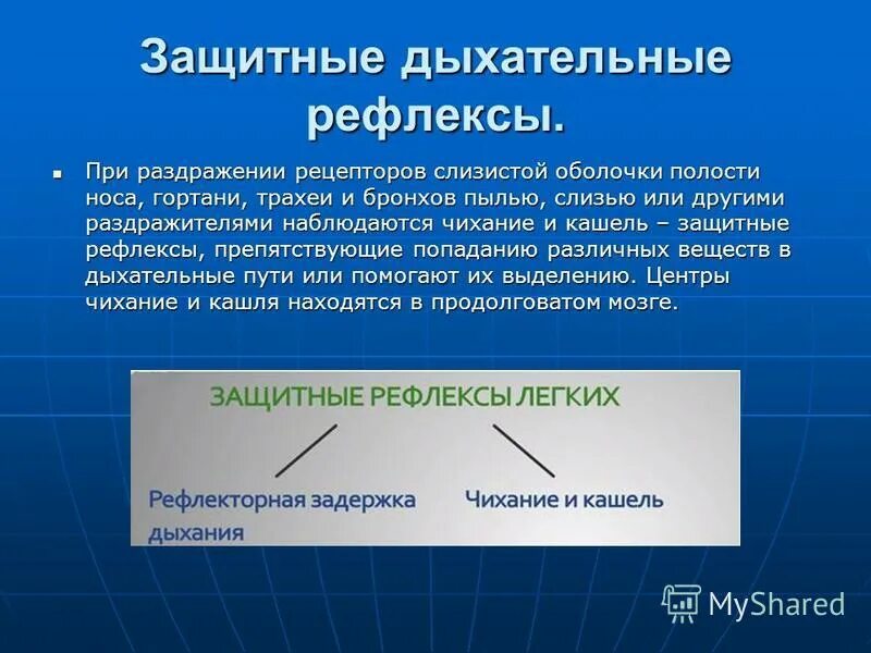 Защитные дыхательные рефлексы чихания