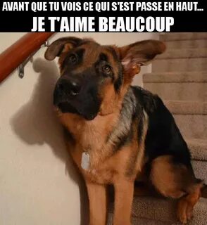 Накосячил извинись