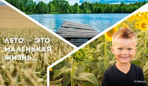 Маленькая жизнь коротко