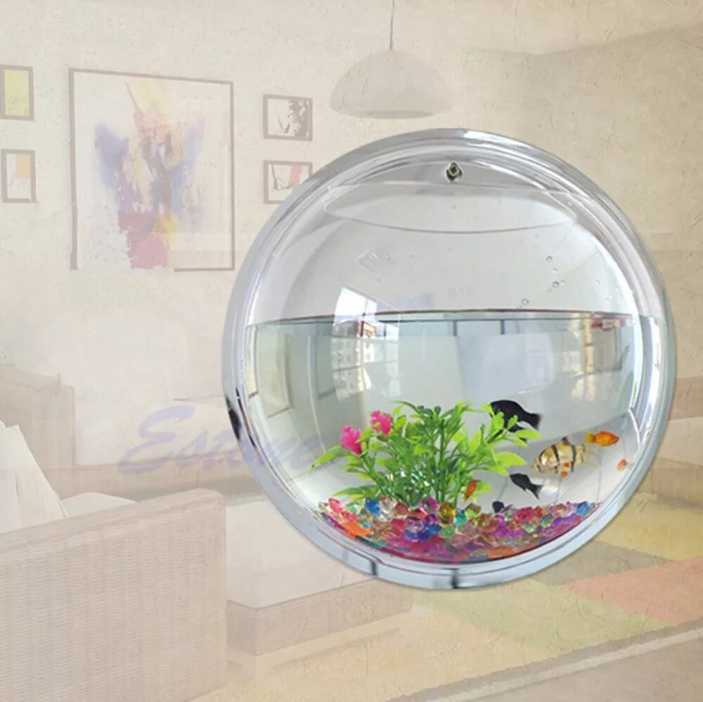 миниатюрный аквариум. запаянный аквариум с рыбками. аквариум акваэль 15 л. аквариум tetra 25 vs 30 литров. аквамир с креветками.