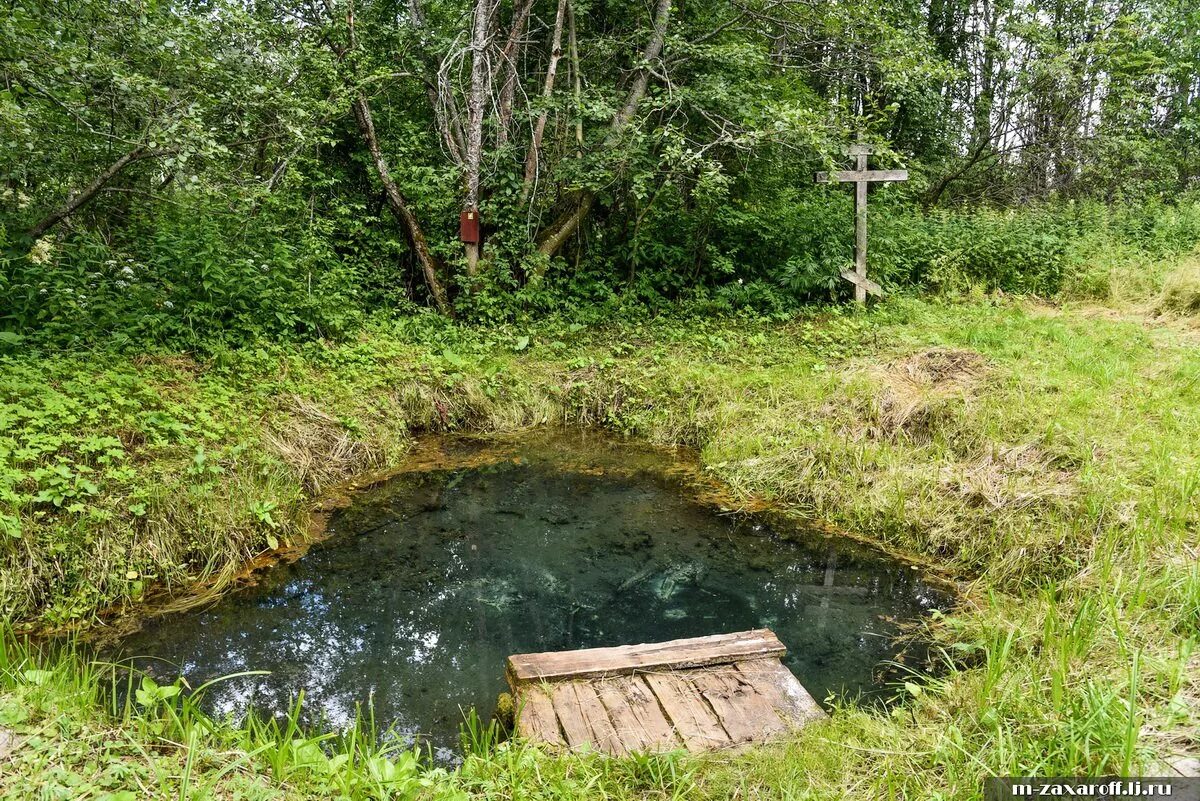 Родник смоленск. Щеголево Новодугинский район. Щеголево деревня Смоленская. Родники Смоленской области. Деревня Городня Новодугинский район.