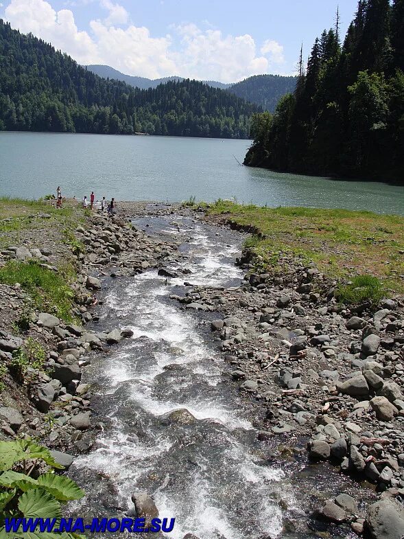 Широкий ручей. Ручей водопадный актру. Ручей впадает в реку. Ручейки стекают в реку. Ручей орой.
