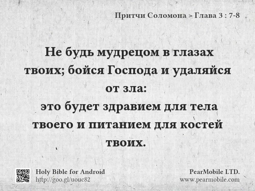 Библия глуп. Притчи Соломона. Притчи Соломона 3 глава. Притчи Соломона Библия.