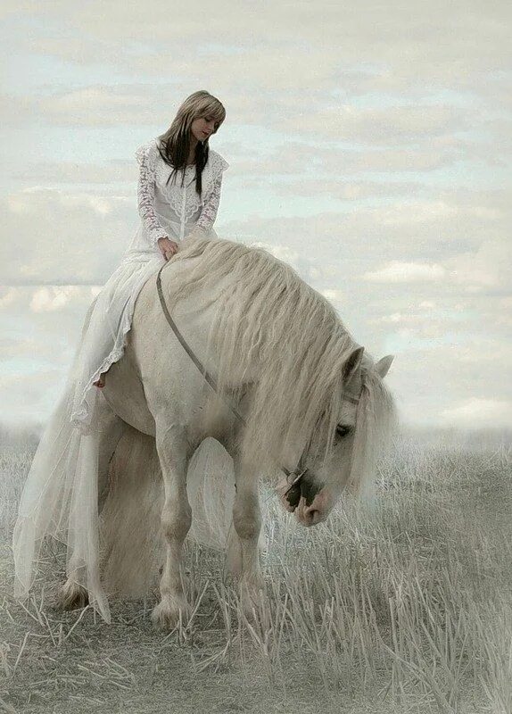 Девушка на белом коне. Девушка и белая лошадь. Фотосессия с лошадьми. Девушка с белым конем.