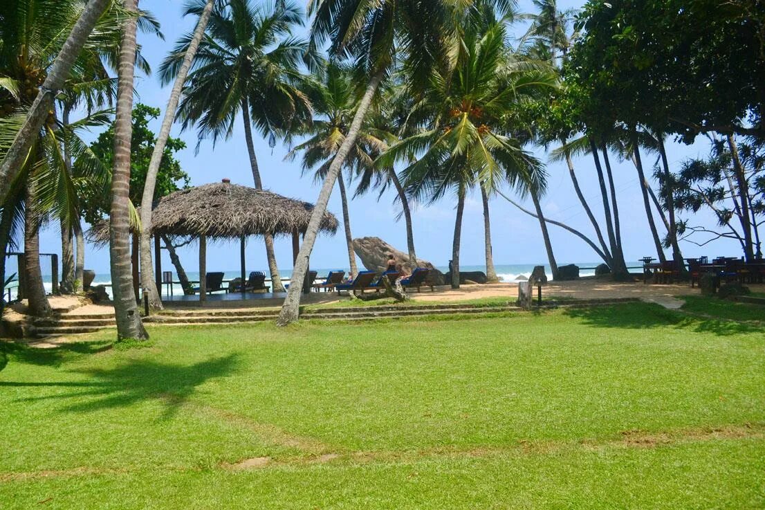 Унаватуна Шри Ланка. Sri Gemunu Beach Resort 4*. Пляж Унаватуна Шри Ланка. Sri Gemunu Beach Resort Unawatuna.