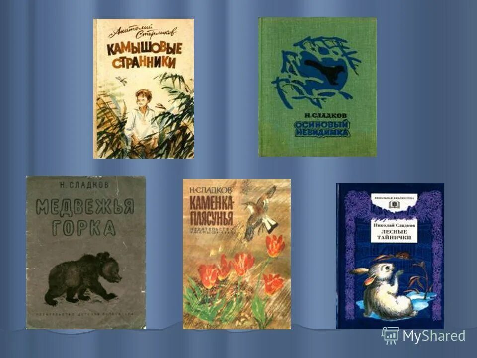 Произведения н сладкова. Н Сладков произведения. Рассказы Сладкова. Рассказы Сладкова о животных.