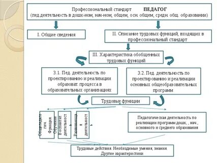 Трудовая функция педагога включает