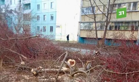 Подслушано копейск октябрьском