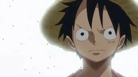 One piece avatar