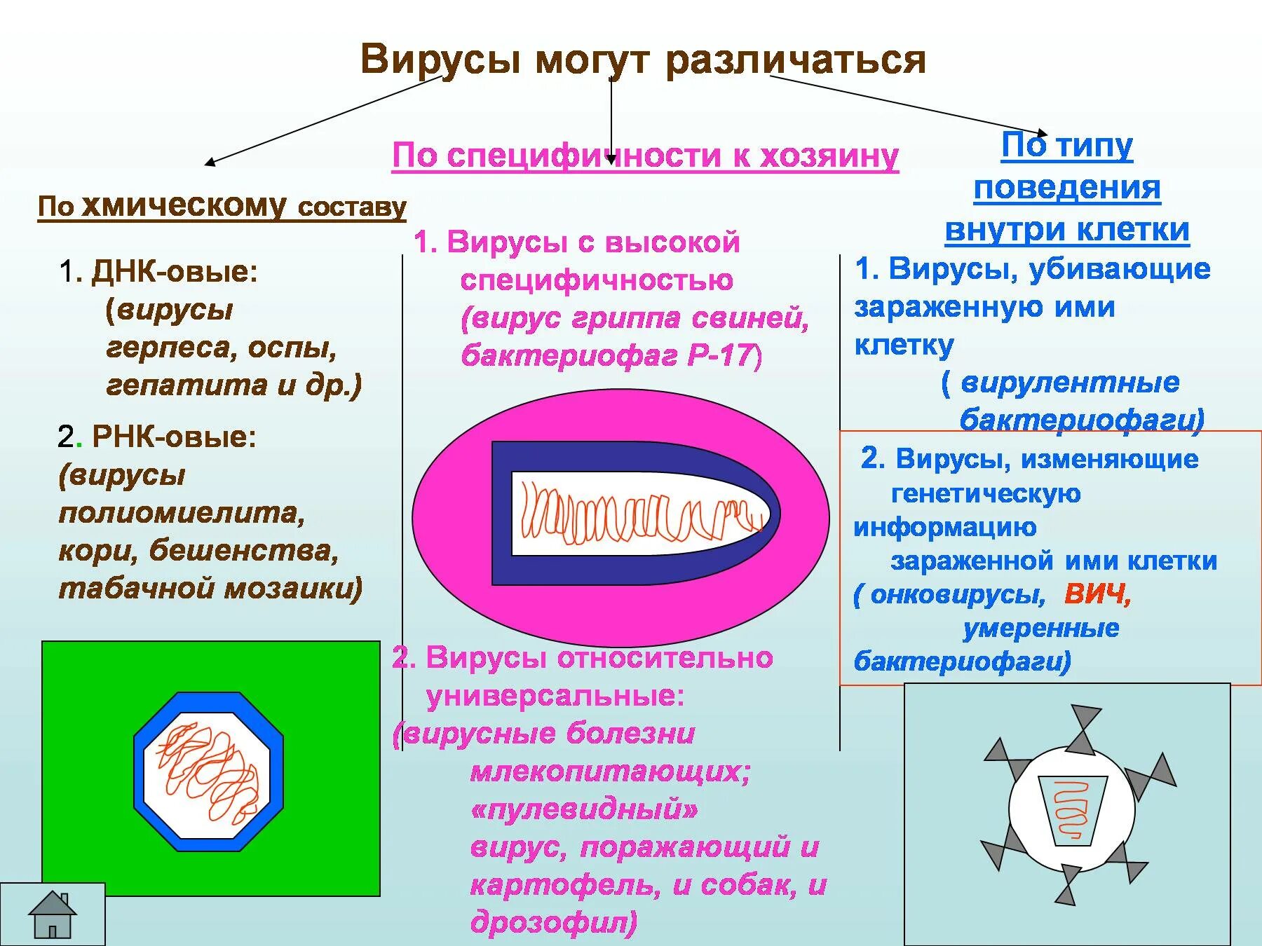 Представители вирусов биология. Вирусы биология. Вирусы презентация. Виды вирусов в биологии. Какие бывают формы вирусов.