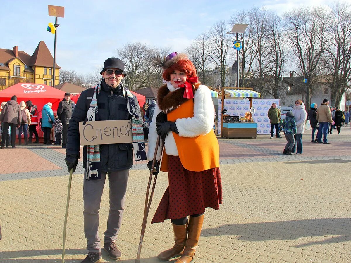 Фестиваль «день рождения Зеленоградского кота». Праздник котов в Зеленоградске. ДКНБ зеленогрпдского кота. День зеленоградского кота