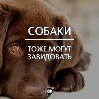 Несколько фактов о жизни