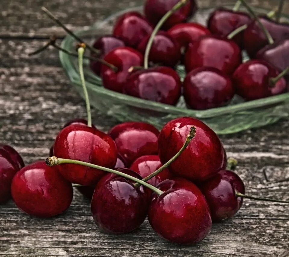 Черри вишня. Лоснились как спелые вишни. Вишня скороспелка. Вишня гриот белорусский. Вишня сорт " максимовская ".