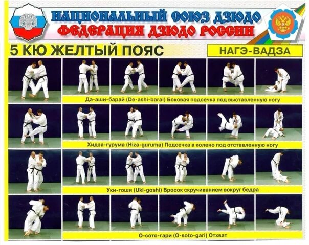5 кю жёлтый пояс по дзюдо. Дзюдо 5 букв сканворд. Масю бейкер дзюдо. Кроссворд дзюдо. 5кю желтый пояс дзюдо.