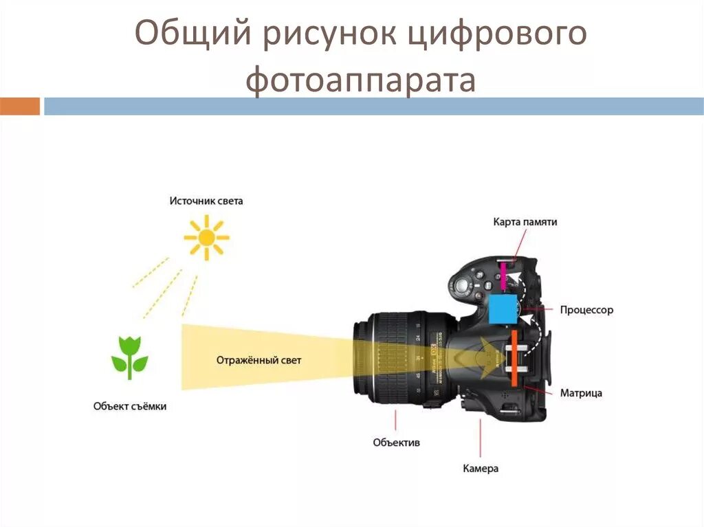 Какое изображение на фотопленке в фотоаппарате