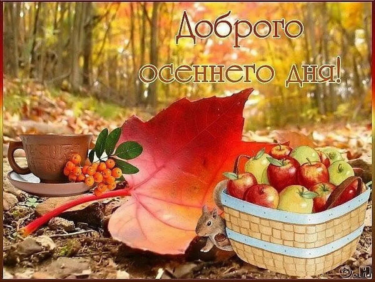 Хорошего осеннего утра картинки. Доброго о сенноего дня. Доброго осеннего дня. Прекрасного лмннннго дня. Прекрасного осеннего дн.