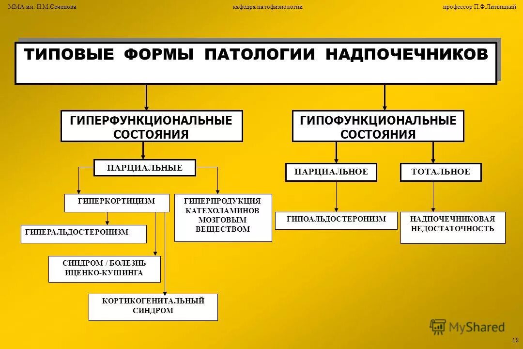 Патогенез хронической надпочечниковой недостаточности. Надпочечники гиперфункция и гипофункция таблица. Патофизиология надпочечников. Функции надпочечников кратко. Этиология надпочечниковой недостаточности.
