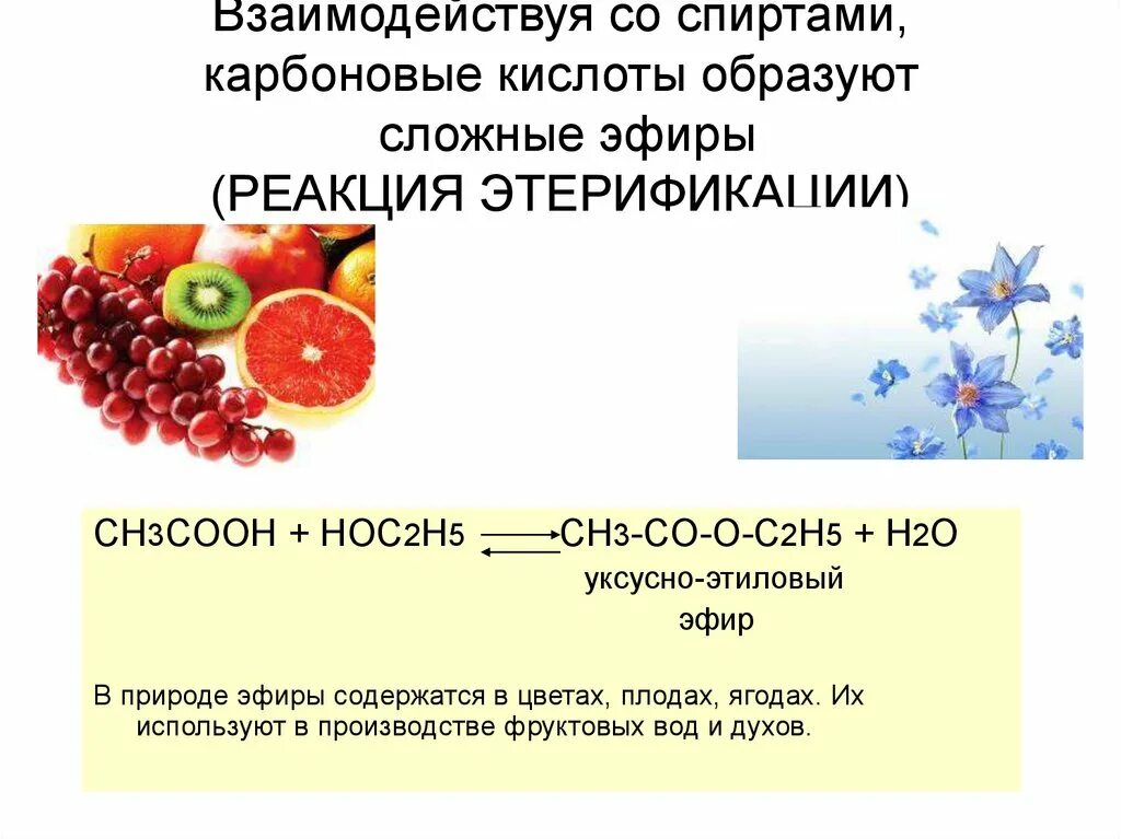 Сложные эфиры карбоновых кислот. Карбоновые кислоты в сложные эфиры реакция. Одноосновные карбоновые кислоты. Карбоновые кислоты презентация. Химия 10 класс карбоновые кислоты самостоятельная работа