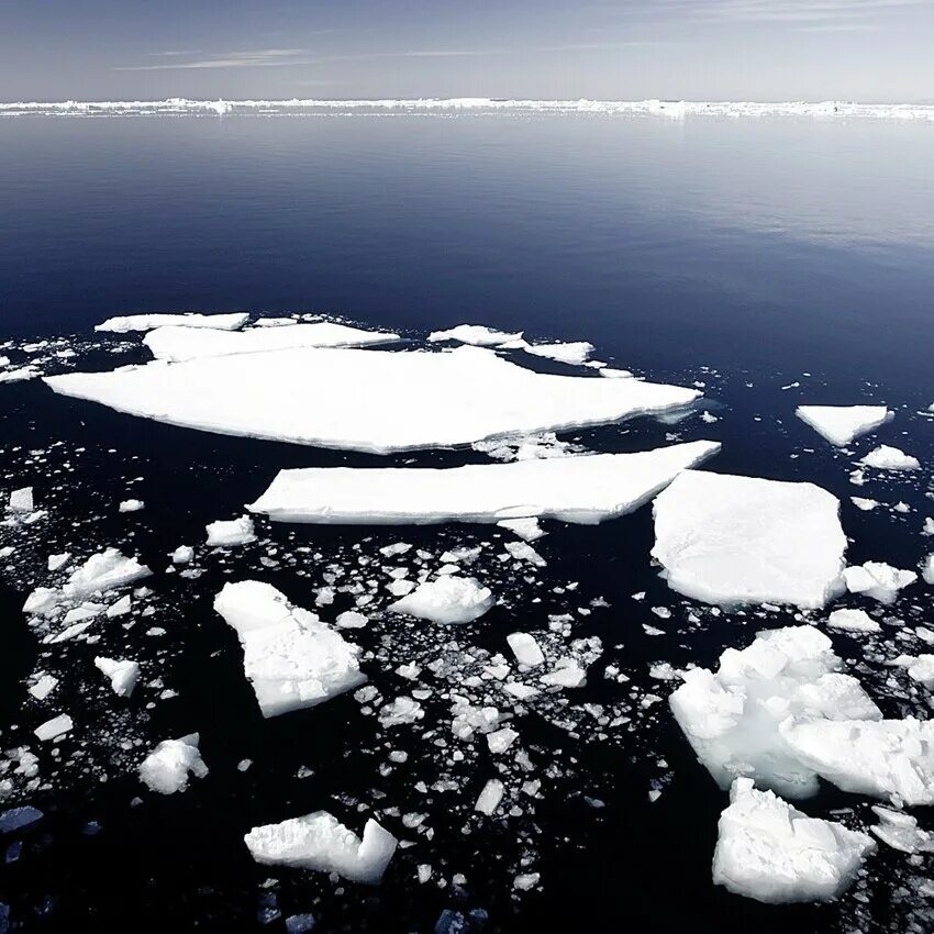 Баренцево море льды. Лед на море. Морской лёд. Море покрытое льдом. Почему не замерзает баренцево