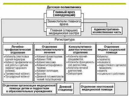 Структура медицинской