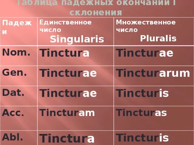 Множественное воспаление латынь. Множественное число в латинском языке. Склонение существительных в латинском языке. Таблица падежных окончаний. Мн число латынь.