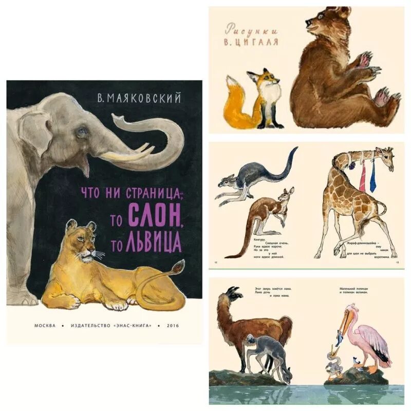 "что ни страница - то слон, то львица". Что ни страница то слон то львица. Что ни страница то слон то львица. Книги о слонах для детей художественные. Что ни страница, то слон или львица.