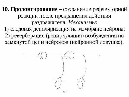 Пролонгирование это