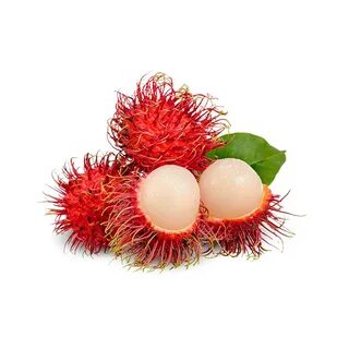 Rambutan fz шаблон кк