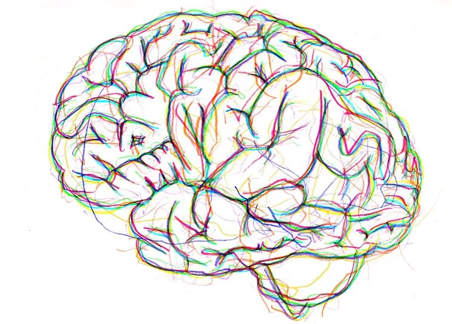 Brain 254. Мозг рисунок. Мозг человека арт.