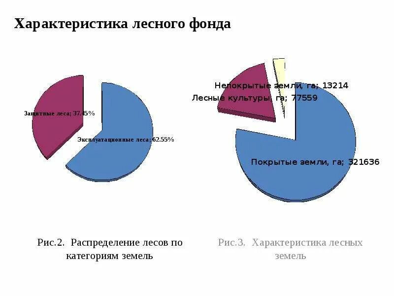 Оценка лесного фонда