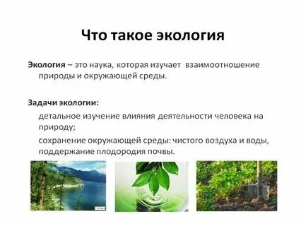 Определение окружающей среды