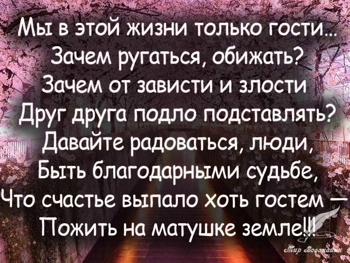 Мудрые слова про жизнь. Мудрость жизни. Статусы про зависть и злость. Умные стихи.