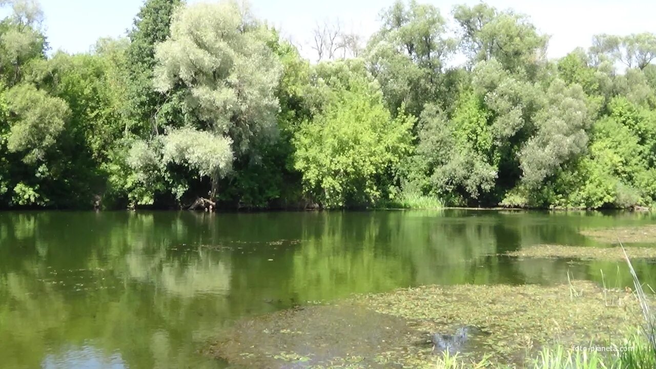 Перевесинка Турковский район. Село Перевесинка Турковского района Саратовской области. Перевесенко. Перевесинка Турковский район водопад.