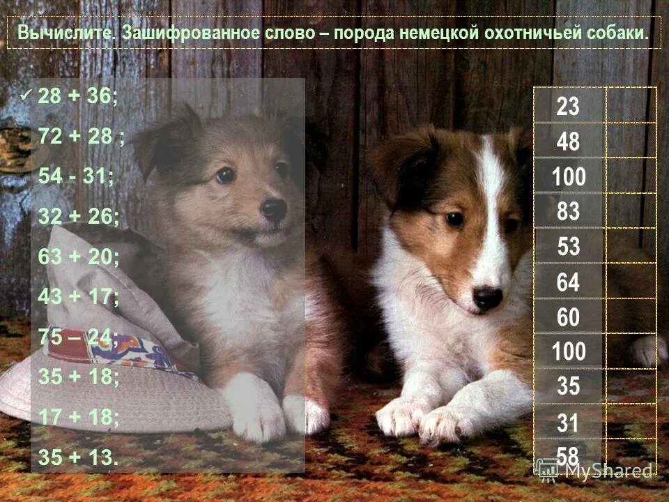 Игра слова породы собак. Игра слова породы собак. Собака карточка для детей. Порода слово. Собачьи породы на букву ш.