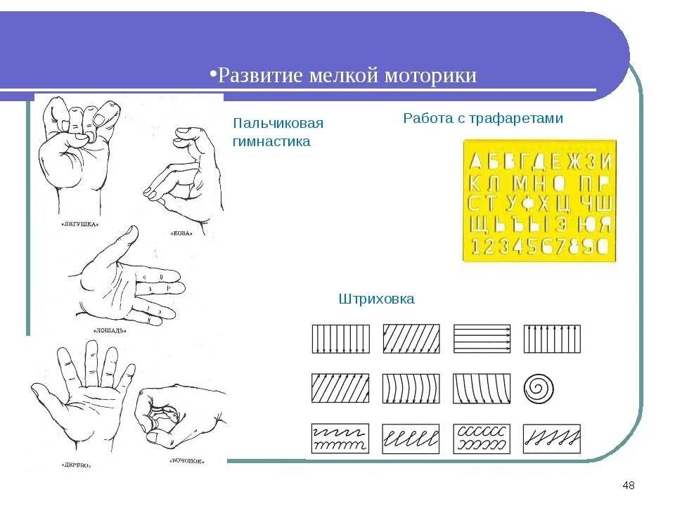 Программа развития мелкой моторики. Развитие мелкой моторики. Упражнения на мелкую моторику. Упражнения для развития мелкой моторики. Развитие мелкой моторики рук.