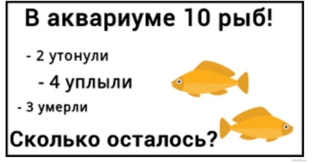 Сколько рыбок осталось в аквариуме. Головоломка про рыбок в аквариуме. В аквариуме 10 рыбок 2 утонули. В аквариуме 10 рыбок загадка. В 10 аквариумах было поровну рыбок