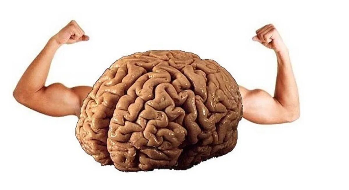Мозги сильнее