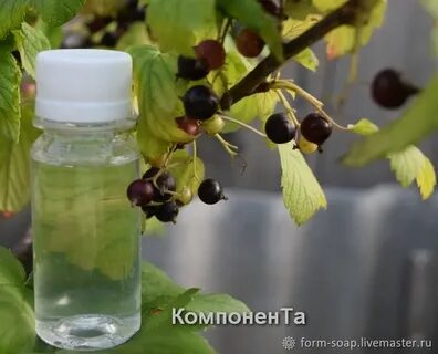 Смородина вода