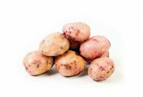 картофель сорт жуковский семенной. картофель жуковский ранний. сорт картофеля жуковский. картофель семенной жуковский ранний. сорт жуковский ранний.