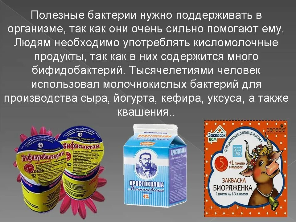 Почему бактерии могут быть помощниками земледельца. Полезные бактерии. полезные бактерии для человека. полезные микробы. полезные микробы для человека.