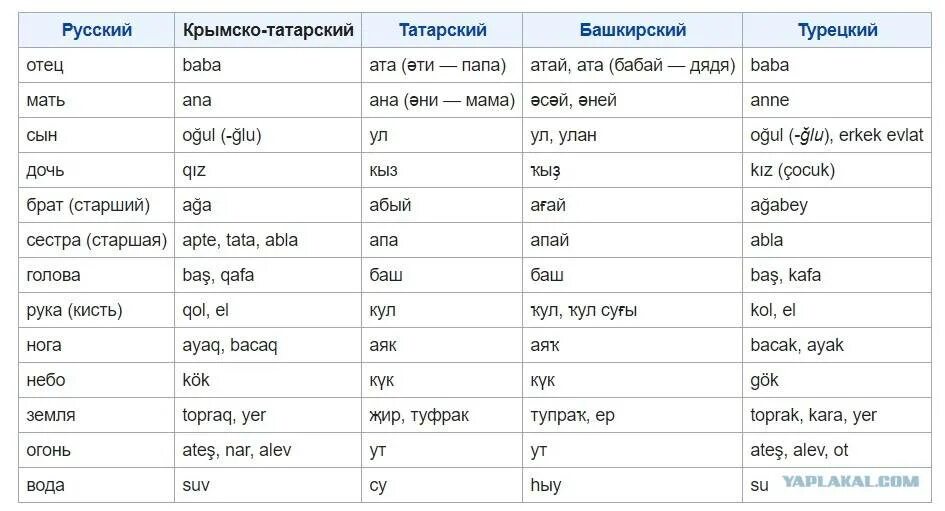 Перевод слова хорошо. Татарские слова. Татарский язык слова. Основные татарские слова. Сова на башкирском языке.