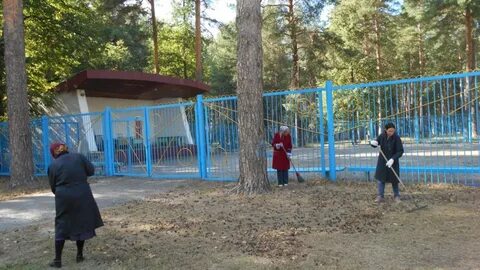 Канаш ибреси