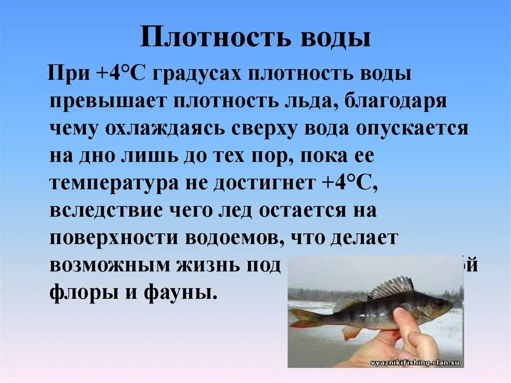 Имеет ли вода плотность. Плотность воды. Плотность воды при 4 с. Наибольшая плотность воды при 4 градусах. Плотность воды воды.