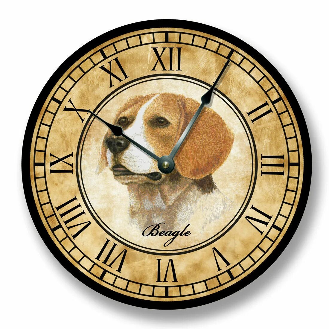 Часы про животных. Животное с часами. Часы по животным. Бигль карманных часов. Фото часы с животными.