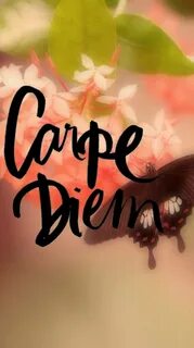Vi carpe diem